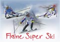 ski racing pic